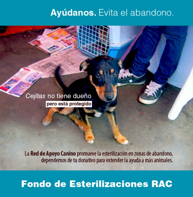 fondo-de-esterilizaciones-rac