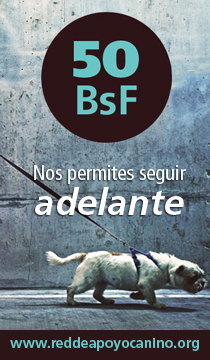 banner 01