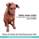 Con muy poco puedes ayudarnos a ayudarlos