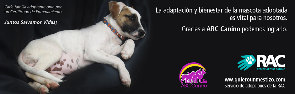 RAC y ABC Canino. Juntos Salvamos Vidas¡
