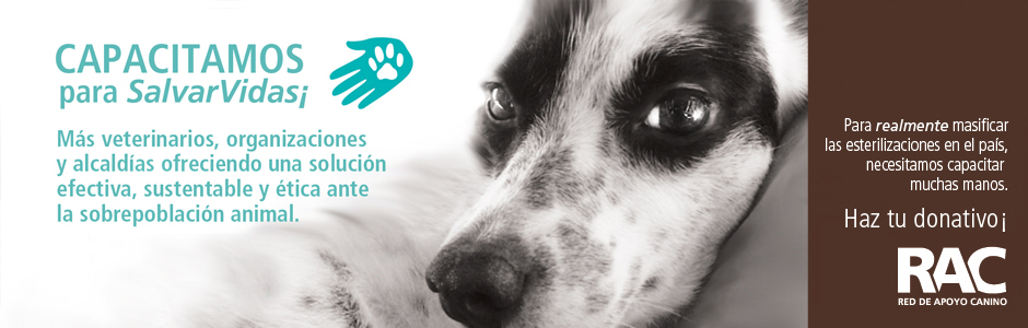 Capacitamos para SalvarVidas La RAC capacita en la técnica de esterilización simplificada