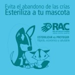 Permalink to Jornada de Esterilización RAC – YMCA San Bernardino. Miércoles 11 de Enero. Cupos Limitados¡ Esteriliza a tu mascota