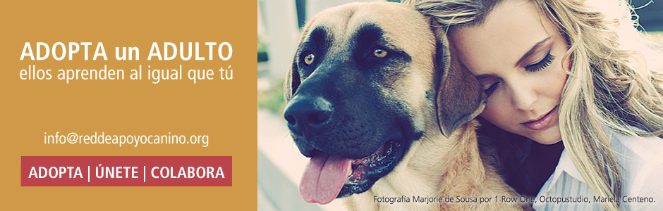 ADOPTA un ADULTO Mi RAZA es Tu RAZA. Adopta Un Mestizo al igual que tú.