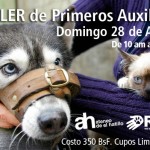 Permalink to TALLER de Primeros Auxilios para Perros y Gatos RAC – Ateneo de El Hatillo, DOMINGO 28 de ABRIL 15071_632872990060683_2085736113_n