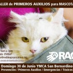 Permalink to TALLER DE PRIMEROS AUXILIOS PARA MASCOTAS, Domingo 30 de Junio 401909_648883168459665_1688685098_n