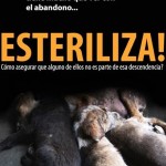 Permalink to JORNADA DE ESTERILIZACION RAC LA MARIPOSA, Lunes 20 de mayo de 2013 922779_644657715548877_1873448773_n