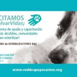 Permalink to JORNADA DE ESTERILIZACION RAC LA VEGA, Domingo 19 de mayo de 2013 941232_643774402303875_827717759_n