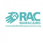 Permalink to Sábado 22 de Junio 2013, JORNADA de ESTERILIZACIÓN RAC – MASCOTA CONSENTIDA 6524_660856880595627_1701465576_n