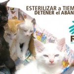 Permalink to JORNADA de ESTERILIZACIÓN + LIMPIEZA DENTAL RAC Maracaibo – CORAZONES PELUDITOS DE PARAGUANÁ, Jueves 13 de junio 970792_653242691357046_455483934_n
